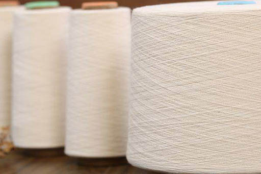    لیف پنبه، الگوی الیاف نساجی است و بر روی سطح پنبه دانه در درون غوزه پنبه، از بوته ای که گاه به بلندی آن به یک متر می رسد، رشد می کند (به طور متوسط هر بذر دارای ۴۰۰۰ لیف است و حداکثر ۲۰۰۰۰ لیف از آن استحصال می شود) و در تامین نیازهای انسان نسبت به پوشاک، بسیار سودمند است. این لیف از ۵۰۰۰ سال پیش در هند پرورش می یافته و کشت وسیع پنبه برای استحصال و استفاده در ریسندگی اولین بار در مصر انجام شد؛ اسپانیایی ها هنر ریسندگی پنبه را در قرن هشتم آغاز و بعد از آن چین و ژاپن نیز آغاز نمودند. برخی پنبه را به قاره آمریکا منتسب می دانند، در پرو پارچه تاری پودی مربوط به ۴۵۰۰ سال پیش وجود دارد و در سال ۱۸۰۰ مهم ترین محصول آمریکا بوده است