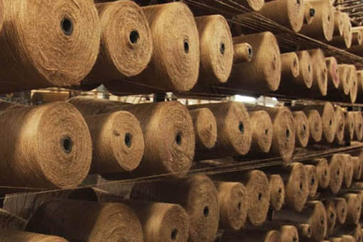 نخ جوت(کنفی ) مورد مصرف در کارخانه های تولید فرش ماشینی کنف گیاهی ست درارای ریشه های عمیق و متراکم و سفید رنگ . این گیاه برای رویش ، نیازمند آب و هوای مناطق استوایی است .  در کشورهایی نظیر هندوستان ، بنگلادش ، چین ، تایلند از طریق کاشت بذر تولید می شود. دامنه جغرافیایی کشت نخ جوت بسیار زیاد است و از محدوده ۴۵ درجه عرض جغرافیایی شمالی تا ۳۰ درجه عرض جغرافیایی جنوبی در جنوب آفریقا کشت می شود . گیاه کنف ( نخ جوت ) به علت ظرافت و استحکام زیاد در صنایع نساجی ، تولید فرش های ماشینی ، موکت ، گلیم ، پارچه ، بارپیچهای مخصوص ، چتای و طناب ، کیف ، مبلمان ، اثاثیه منزل ، تورهای ماهیگیری ، صنعت بسته بندی و حتی صنعت کشاورزی برای نگهداری مواد غذایی استفاده می شود .